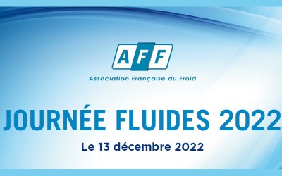 Journées Fluides AFF 2022 - 13 décembre 2022 à l'INSA de Lyon